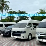 Sewa Mobil Lombok untuk Rombongan Kantor & Gathering | PT Arya Lombok Trans