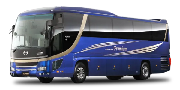 medium-buss