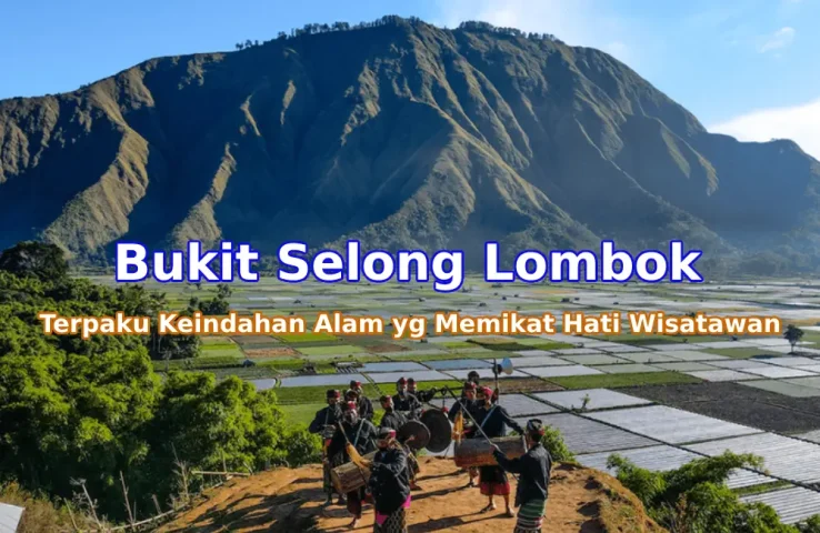 Pesona-Bukit-Selong-Lombok