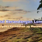 Pesona-Pantai-Kerandangan-Lombok